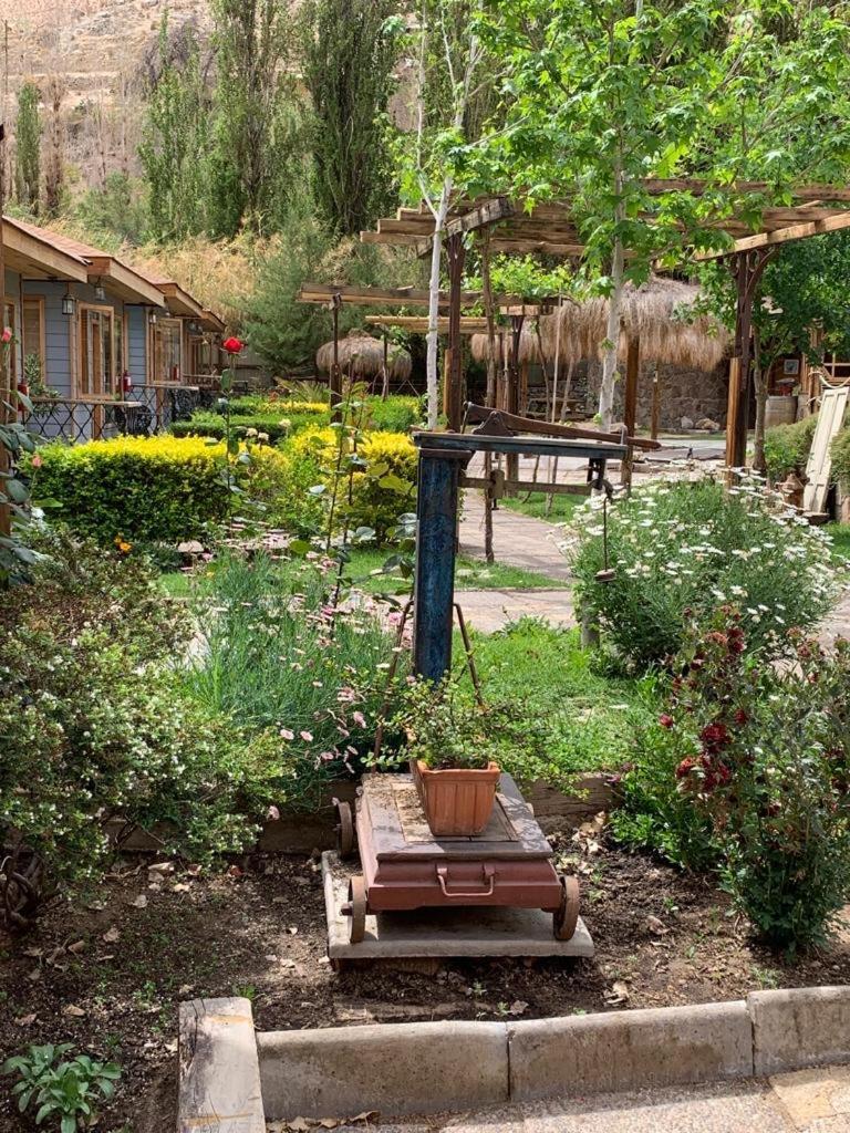 Hotel Faro Del Valle Pisco Elqui Buitenkant foto